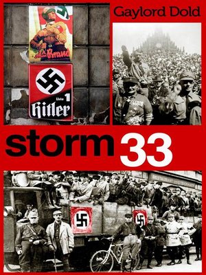 cover image of Storm 33